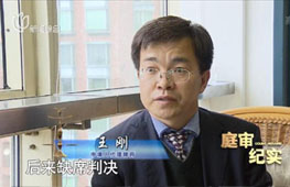 上海辩护律师